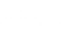 Logo - Domosystem Pesaro